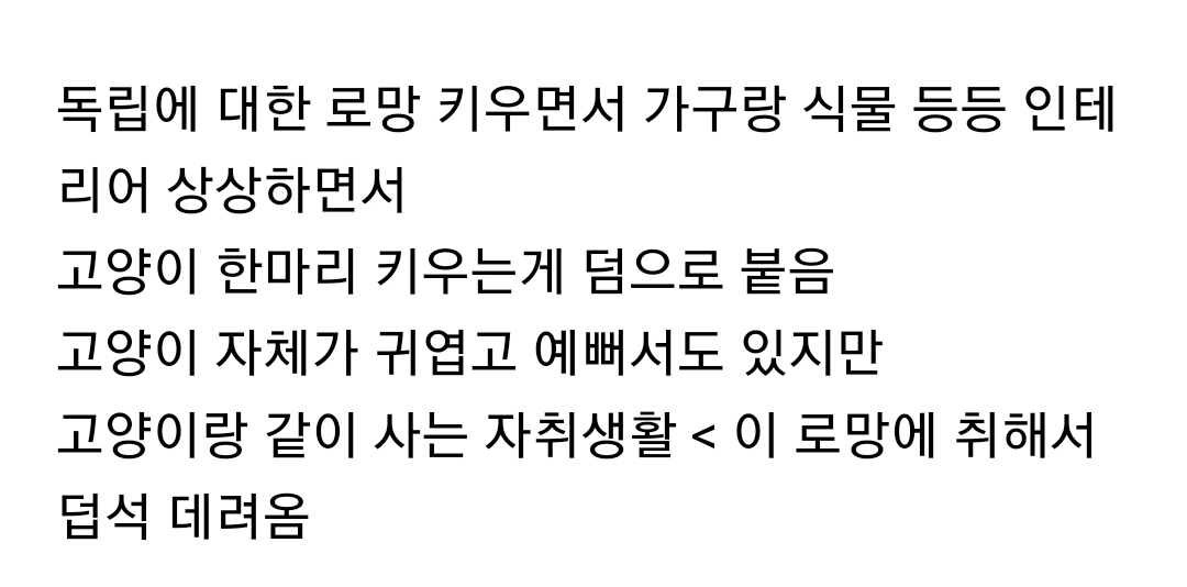 고양이를 "인테리어"로 키우는 사람 은근 흔한거같음 | 인스티즈