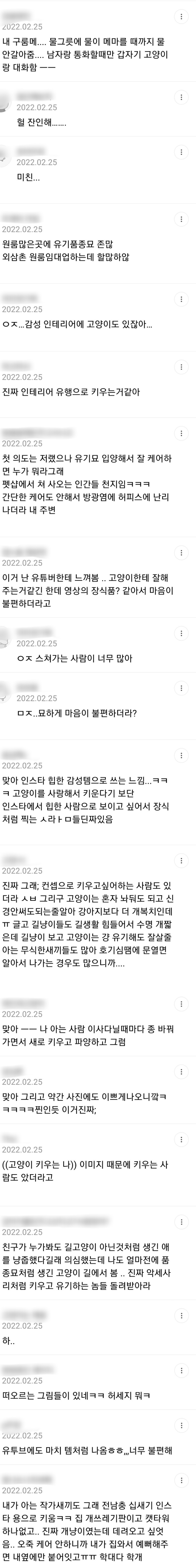 고양이를 "인테리어"로 키우는 사람 은근 흔한거같음 | 인스티즈