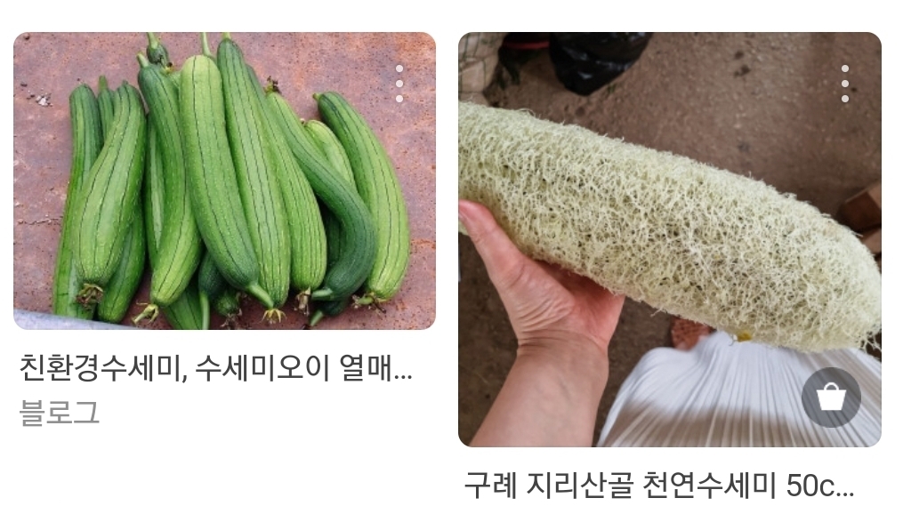 다양한 친환경 수세미들.jpg | 인스티즈