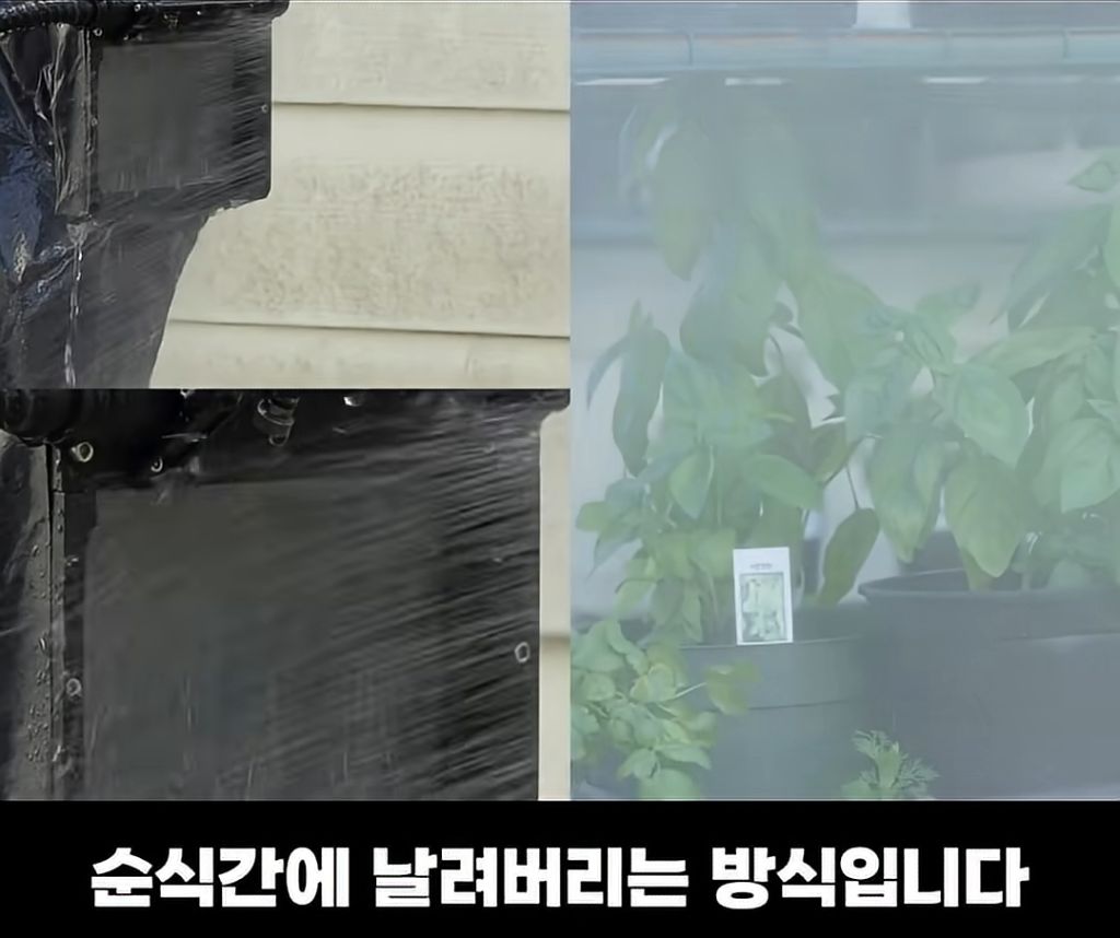 카메라 렌즈에 물이 튀지 않는 비결 | 인스티즈