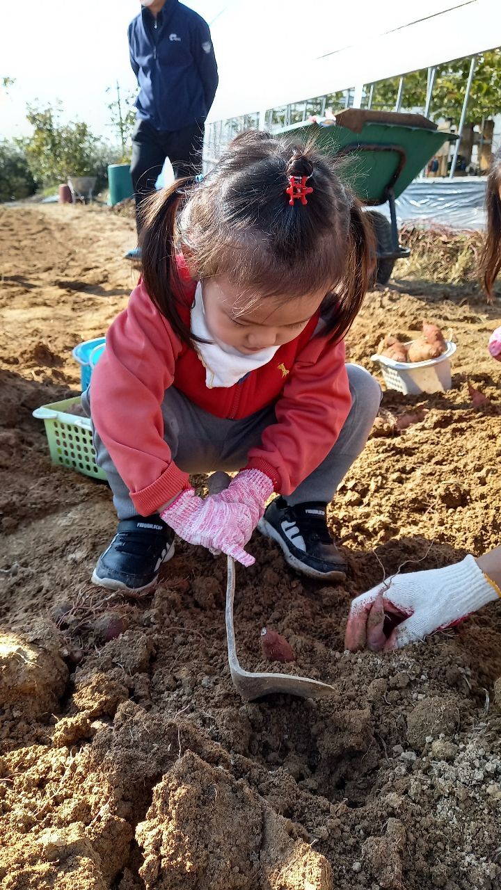 킹콩이농장 이미지