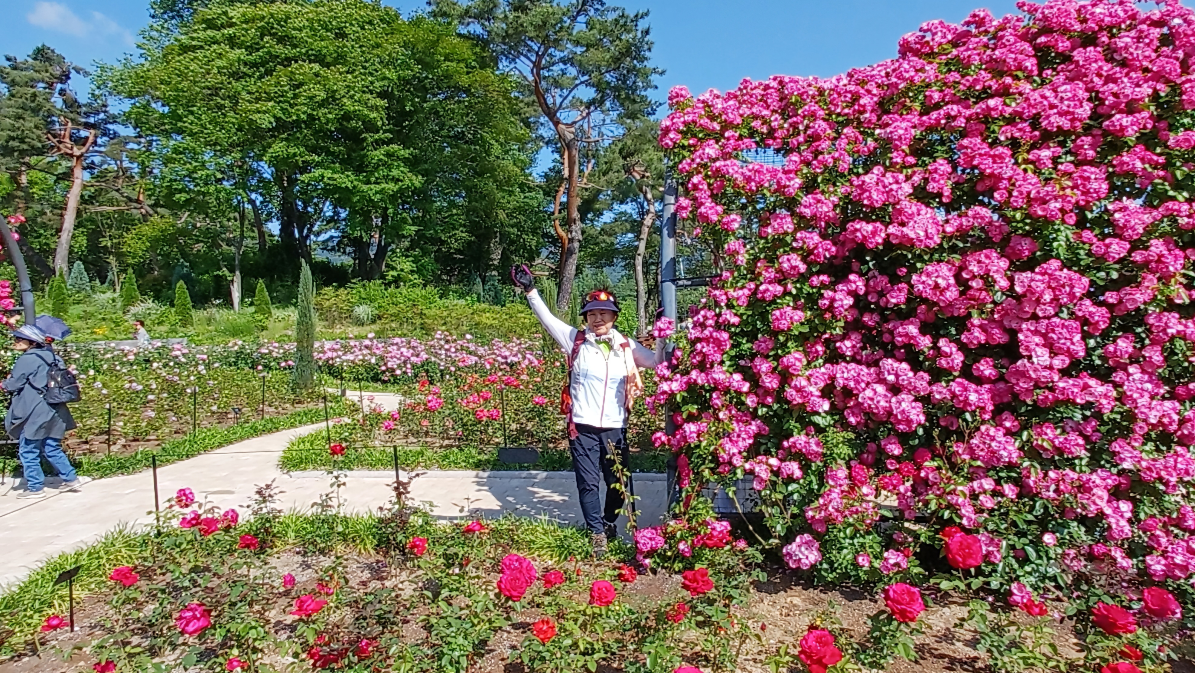 장미원 이미지