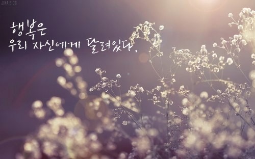 바보신발 이미지