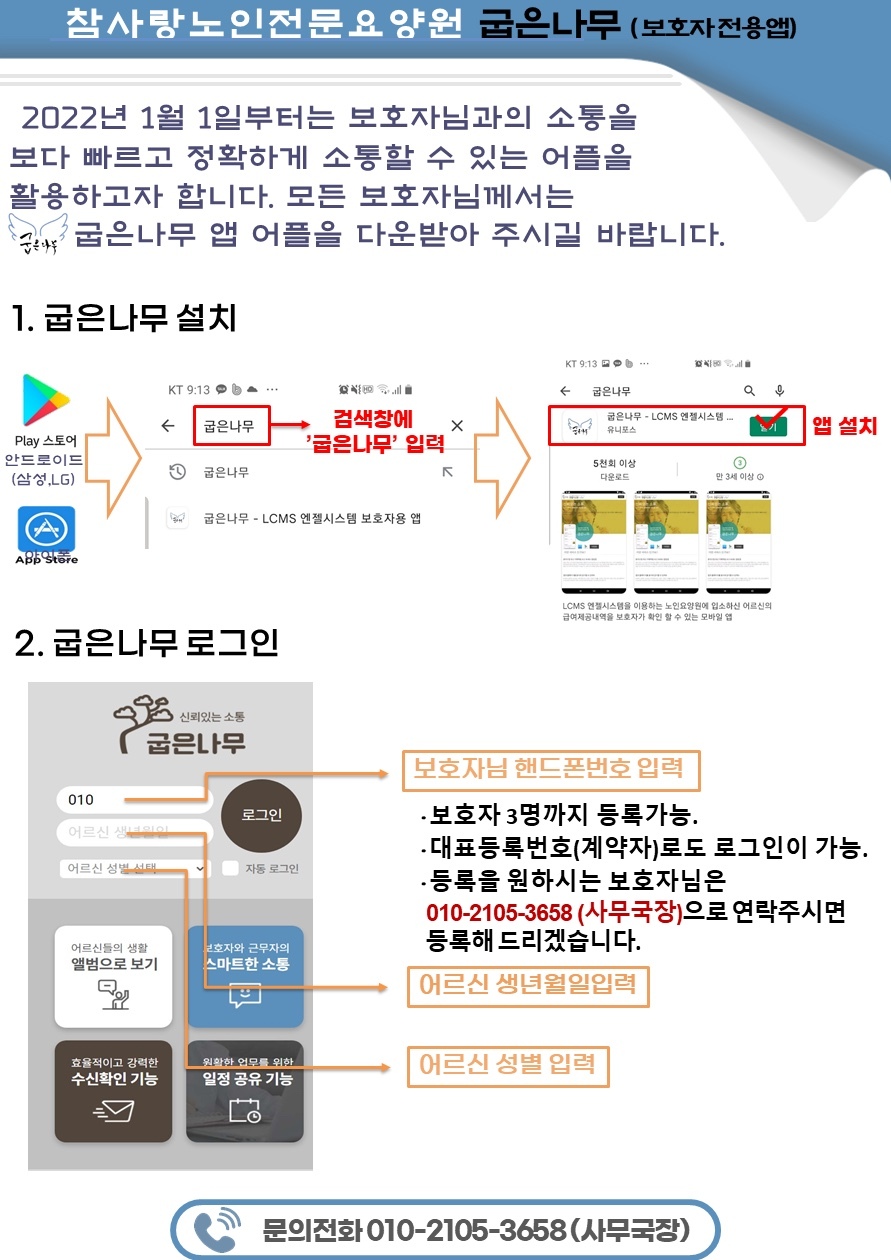 Daum 카페