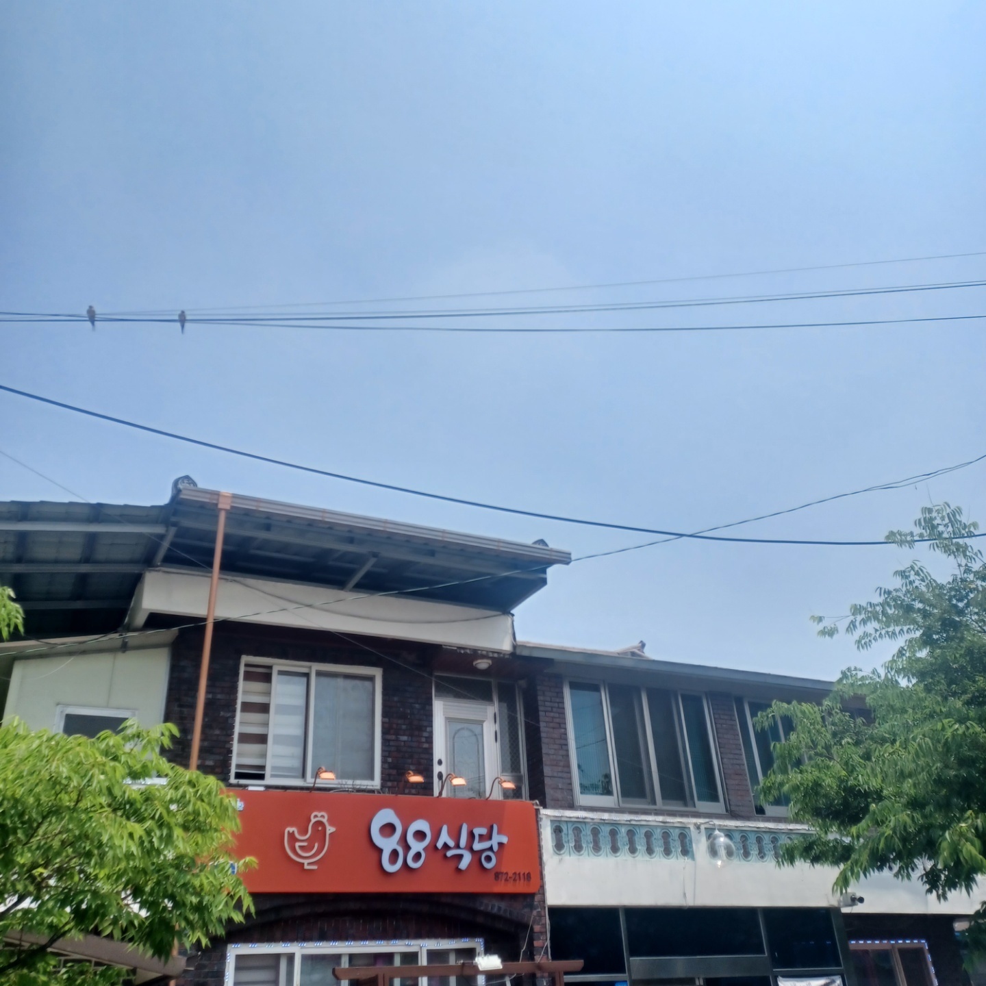 88식당 이미지