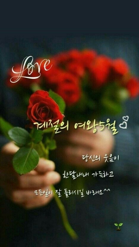 오월 이미지