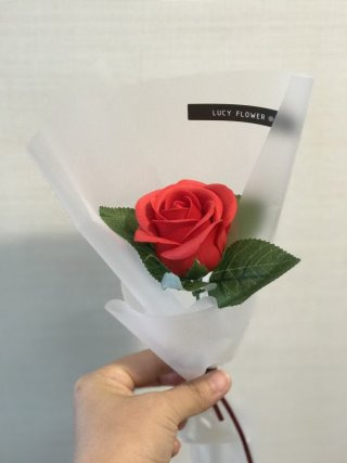 장미 이미지