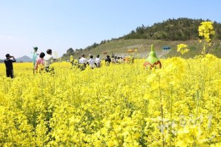 봄 이미지
