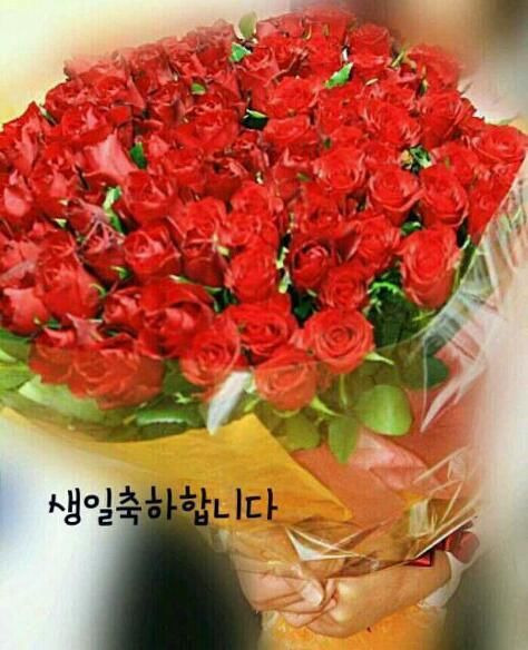 꽃 이미지
