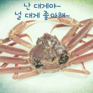 오후 이미지