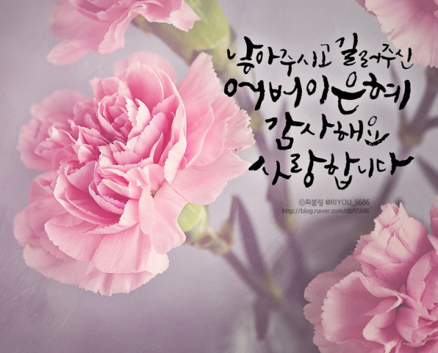 콩밭에 이미지