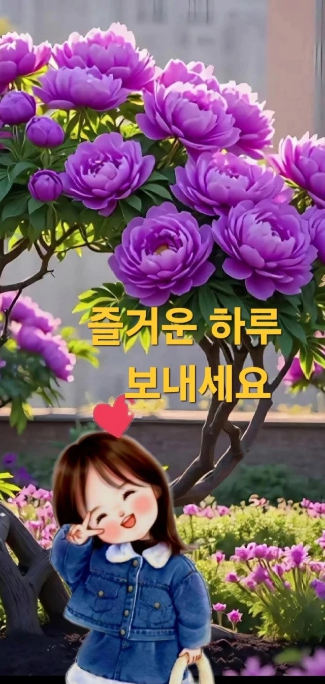 회락 이미지
