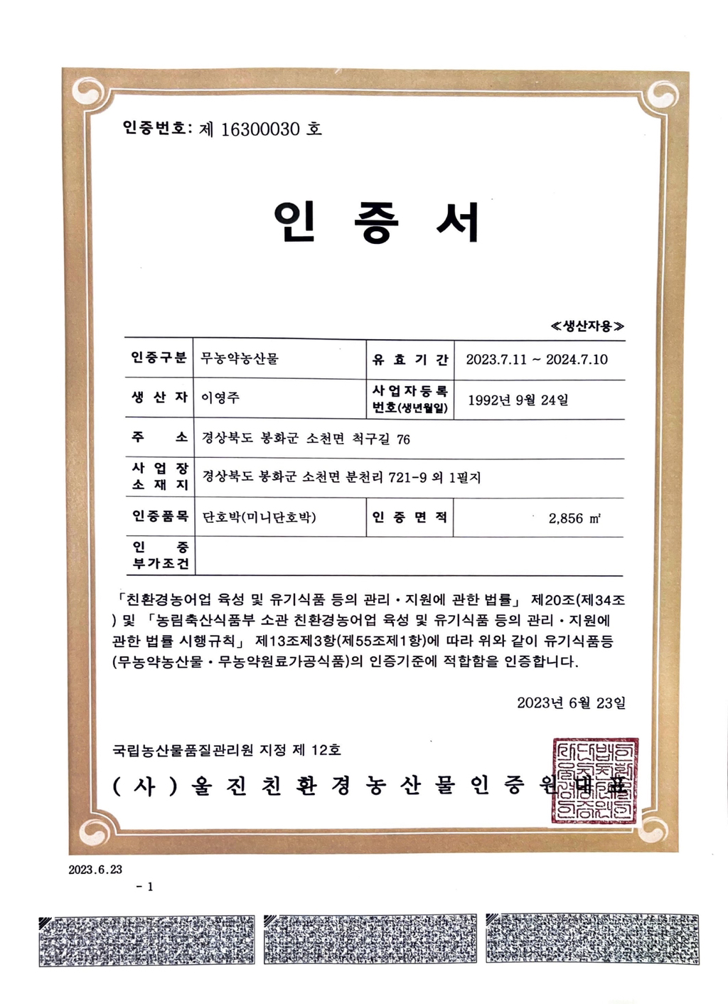 차차네 이미지