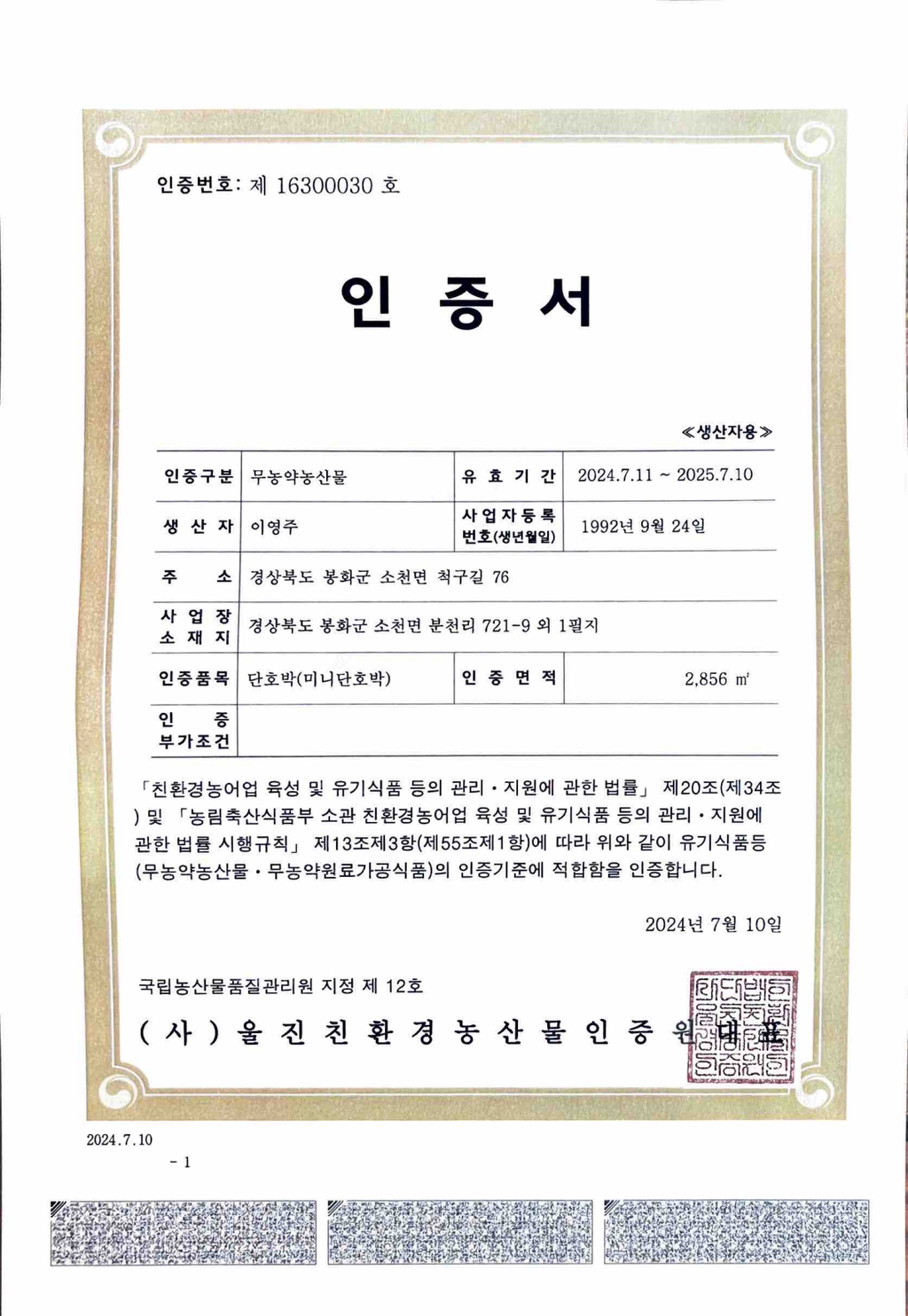 차차네 이미지