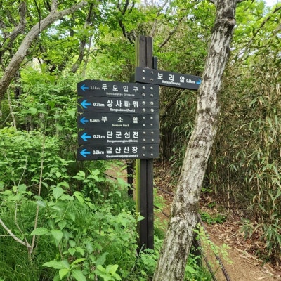 호산 이미지