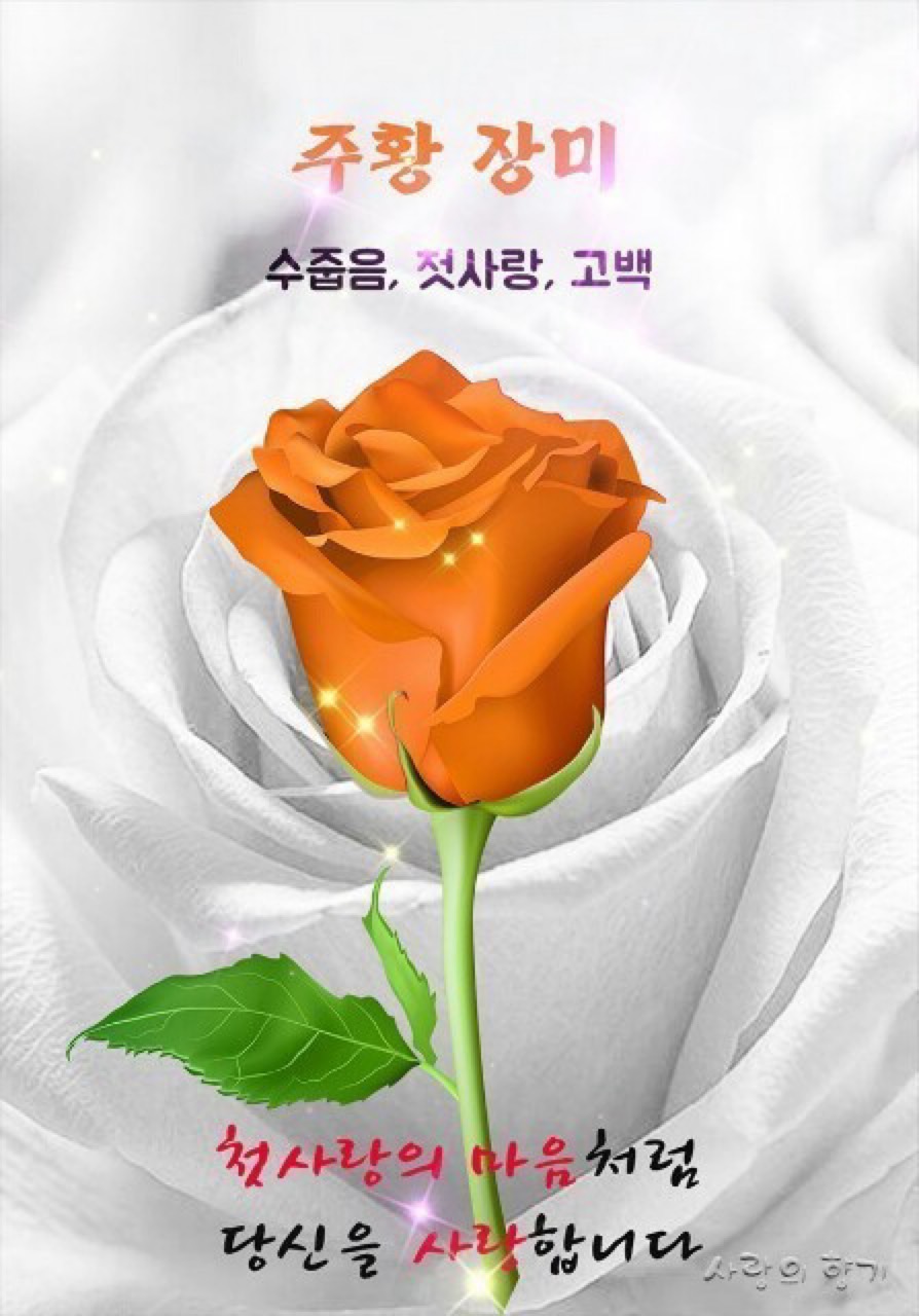 쉼표 이미지
