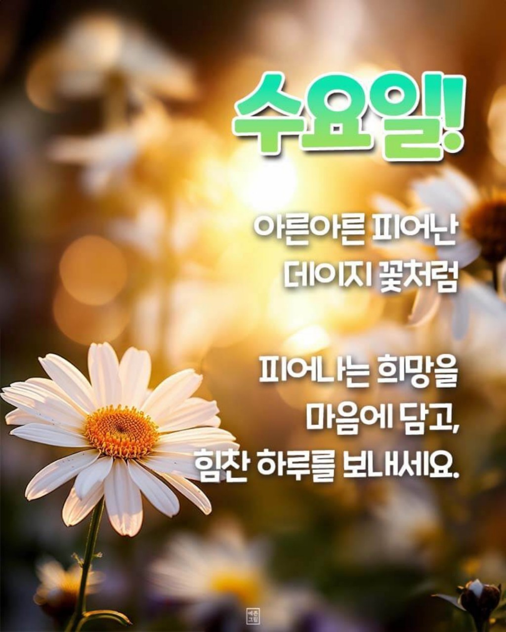 밥짓는행복 이미지