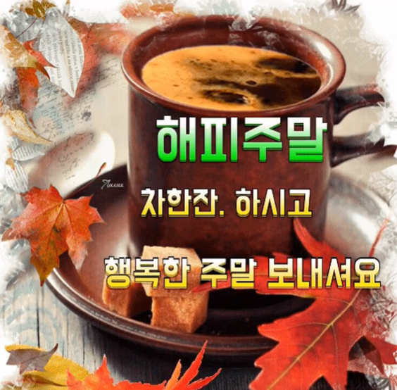 참존고기 이미지