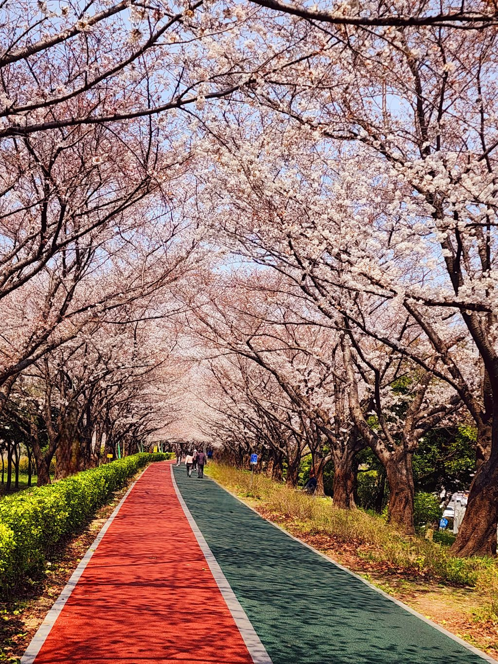 낙동 이미지