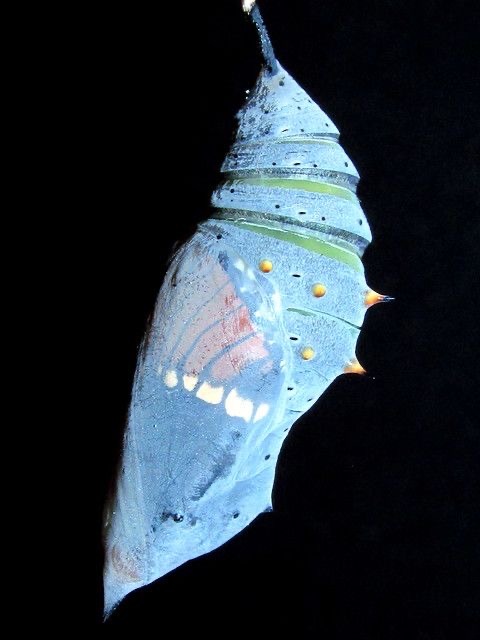 숙성중 이미지