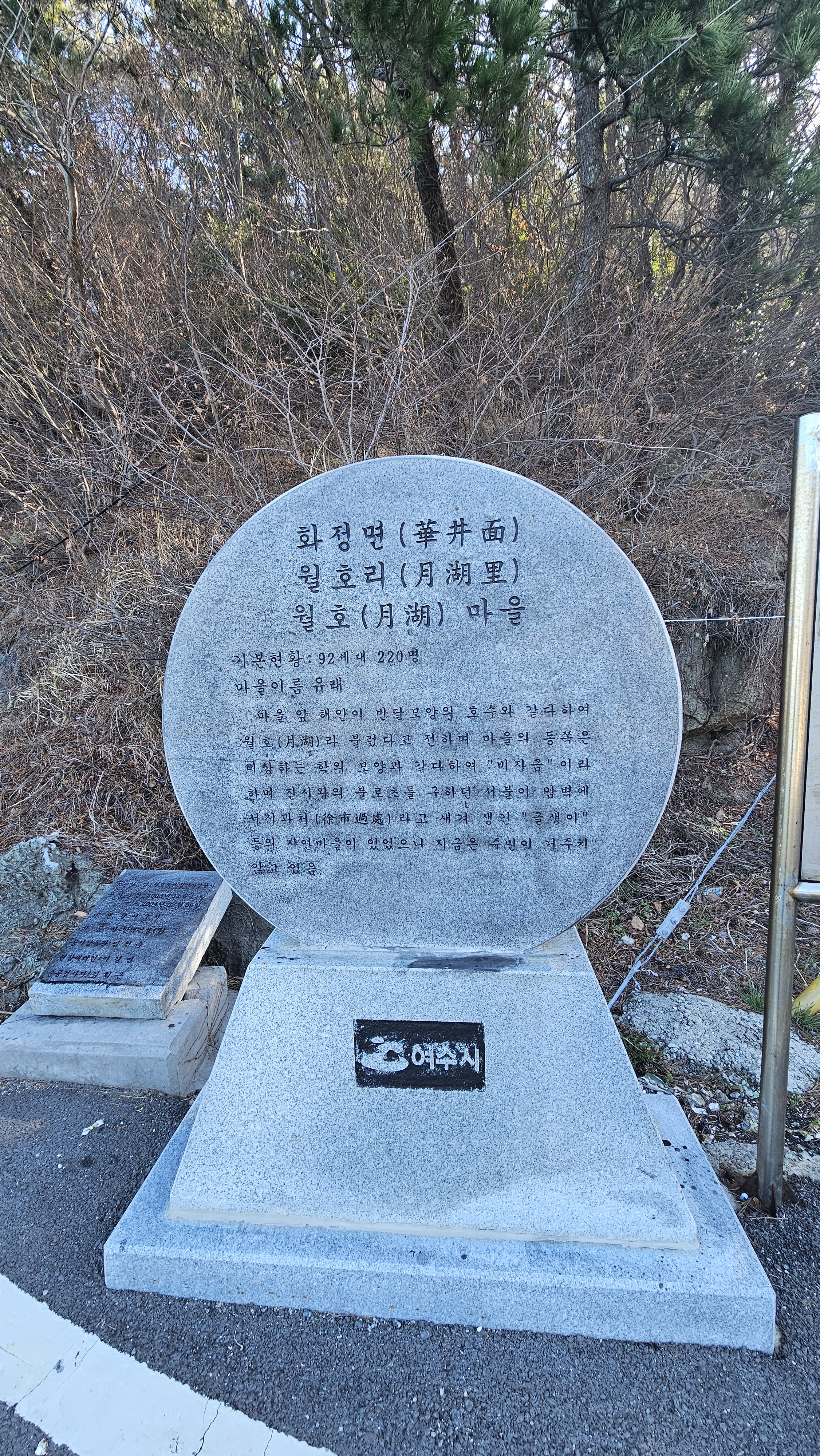 월호도요 이미지