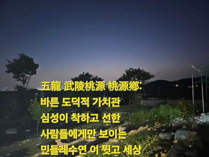 세성 이미지