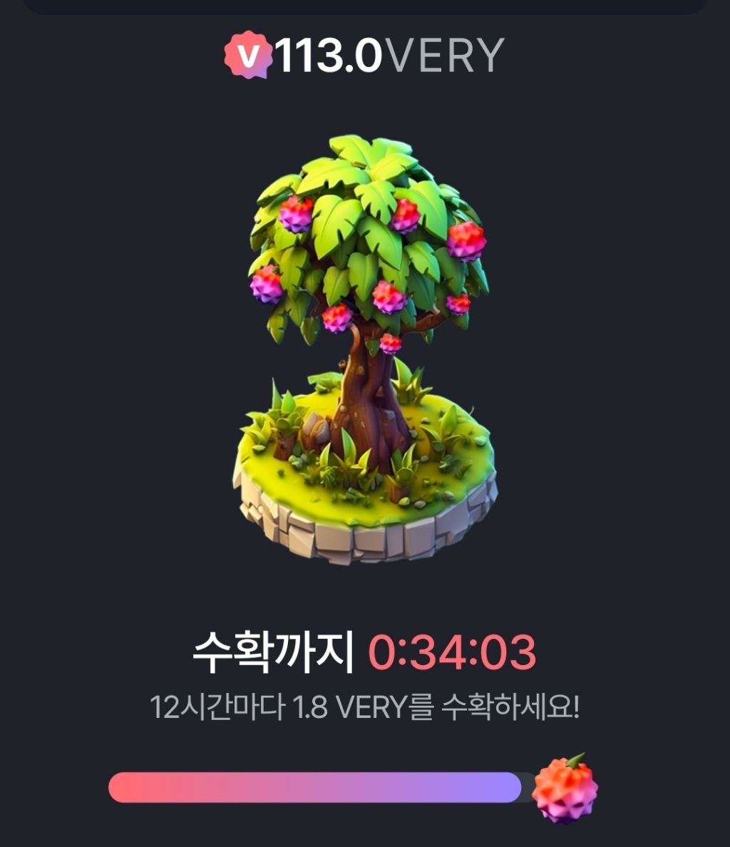 높은베리 이미지