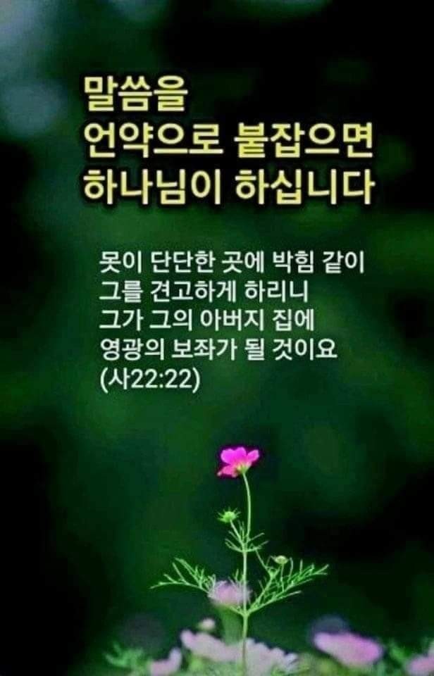 언약 이미지