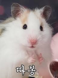 따봉 이미지