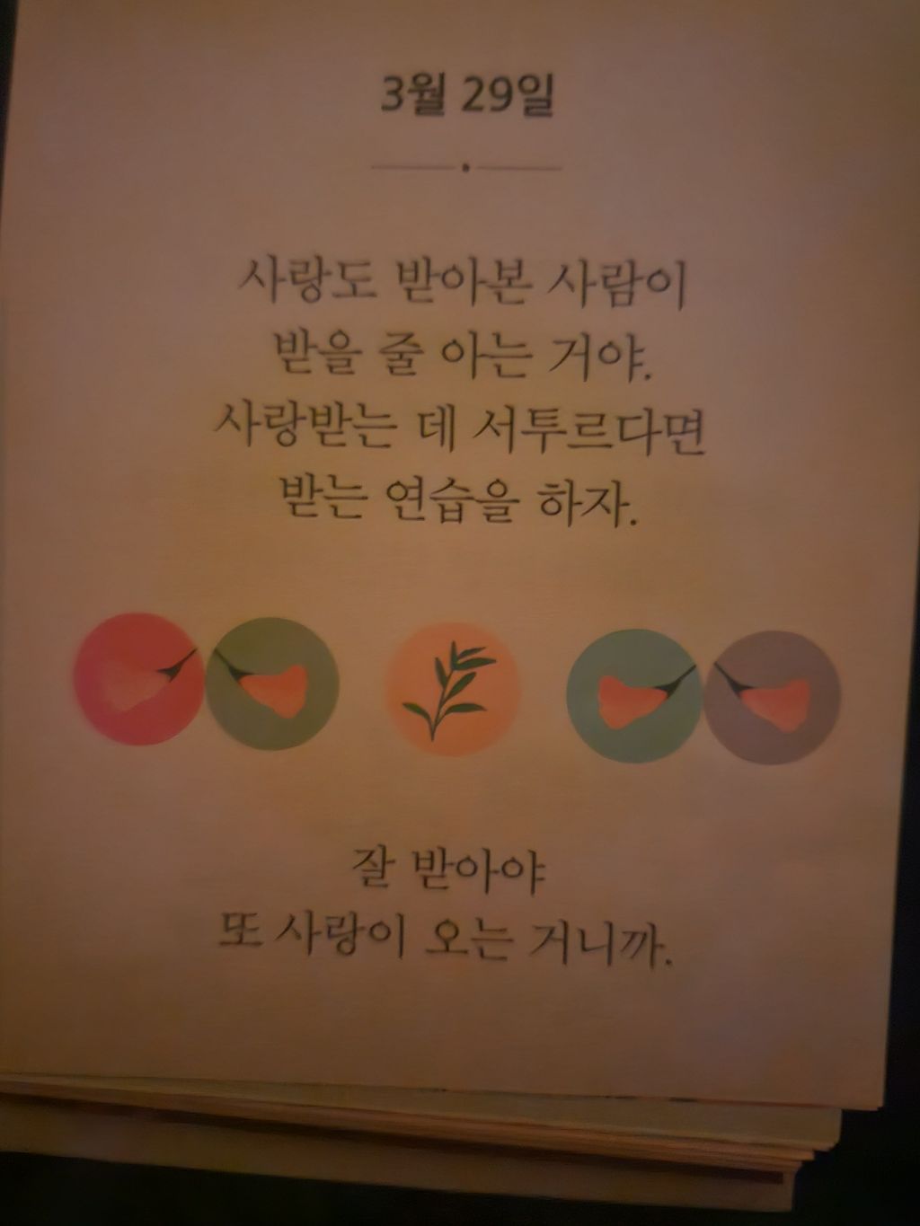 호니숍 이미지
