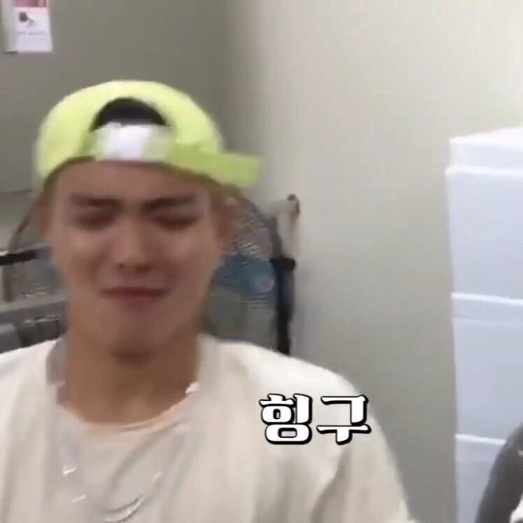 허니밥 이미지