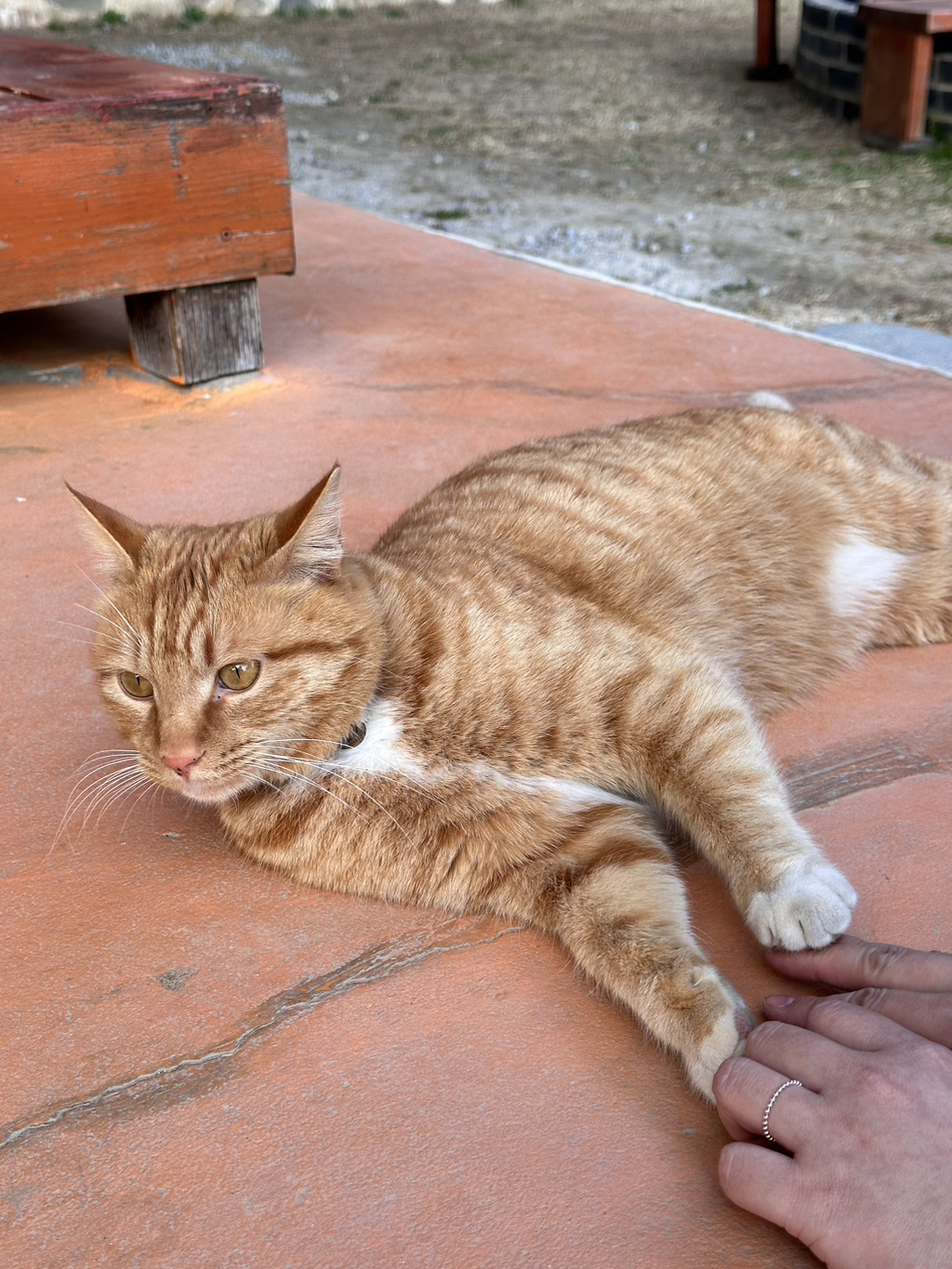 강릉오빠 이미지