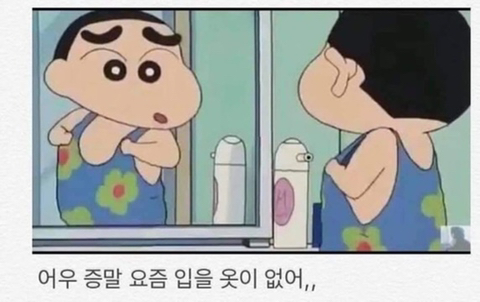 PLZ페스티벌 이미지