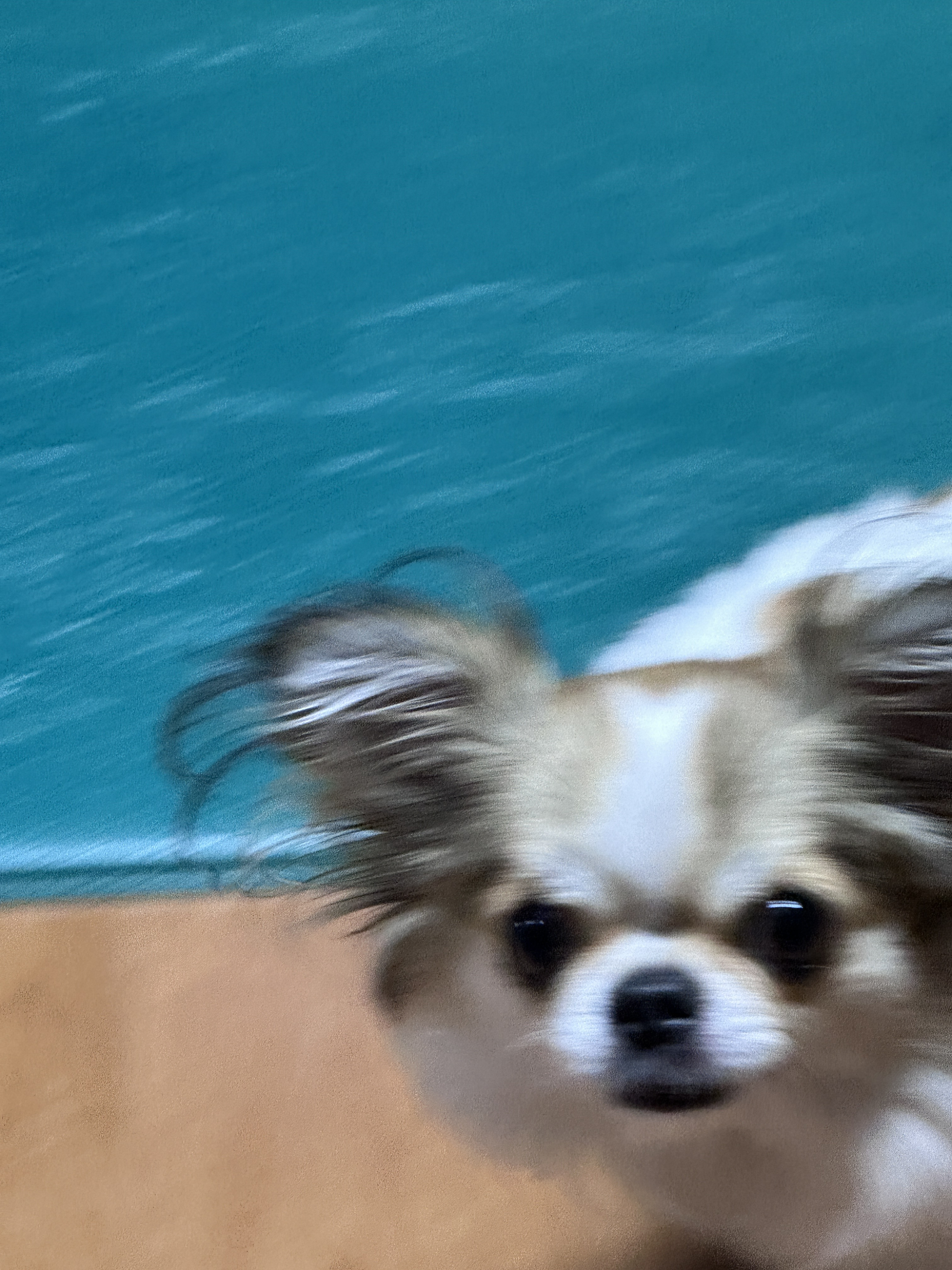 봉숙이 이미지