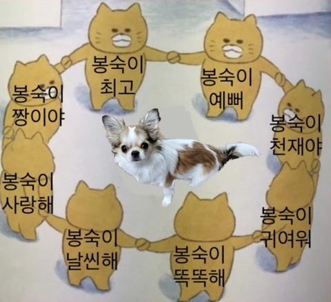 봉숙이 이미지