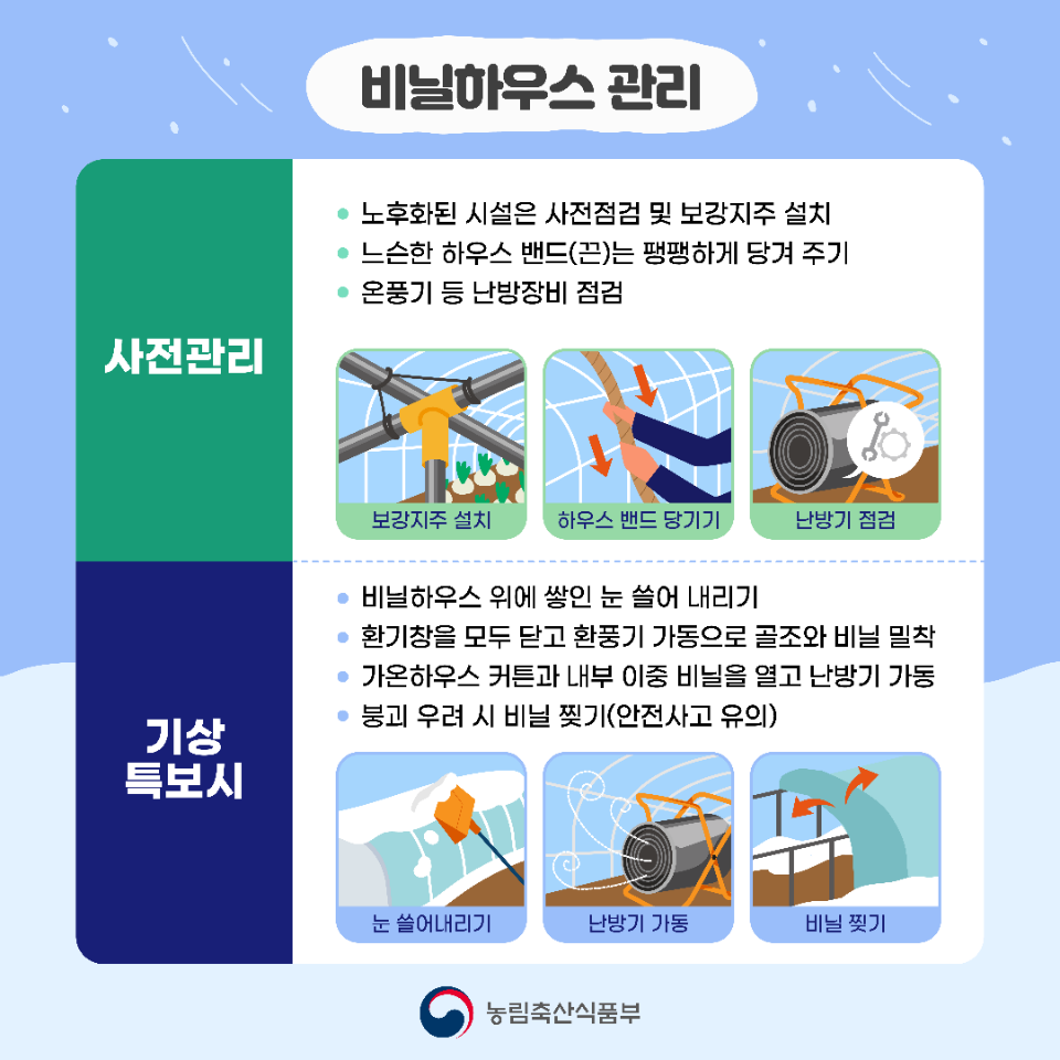 대설 이미지