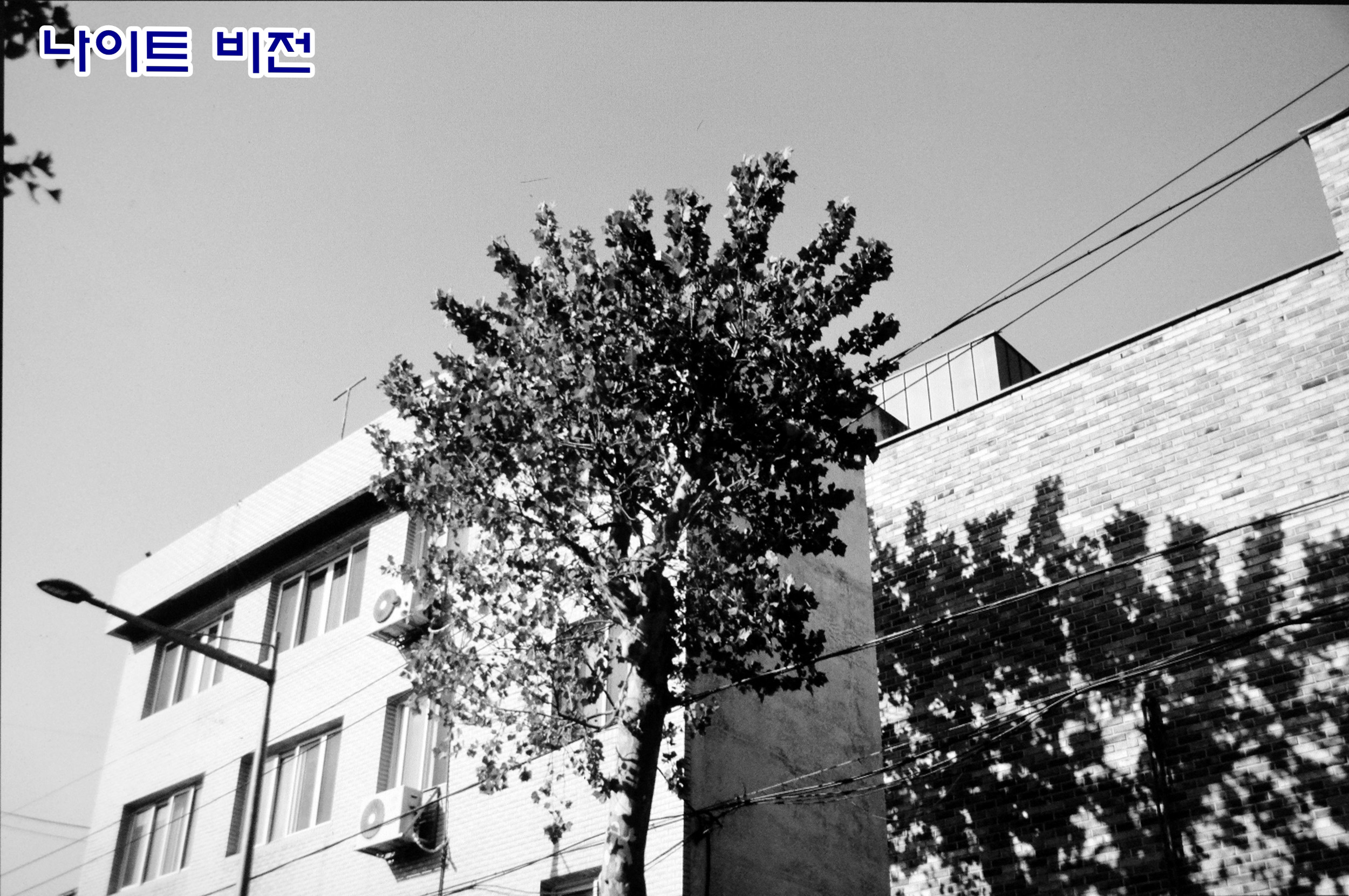컬러스케치 이미지
