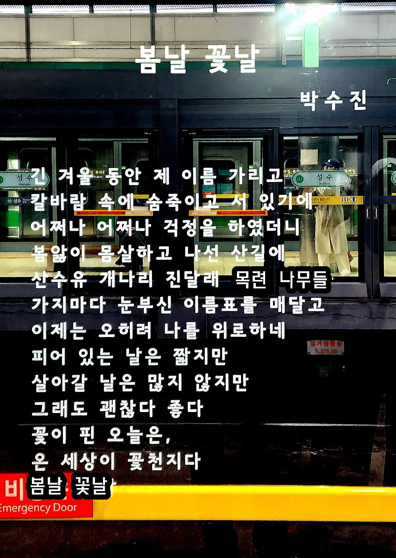 꽃날 이미지