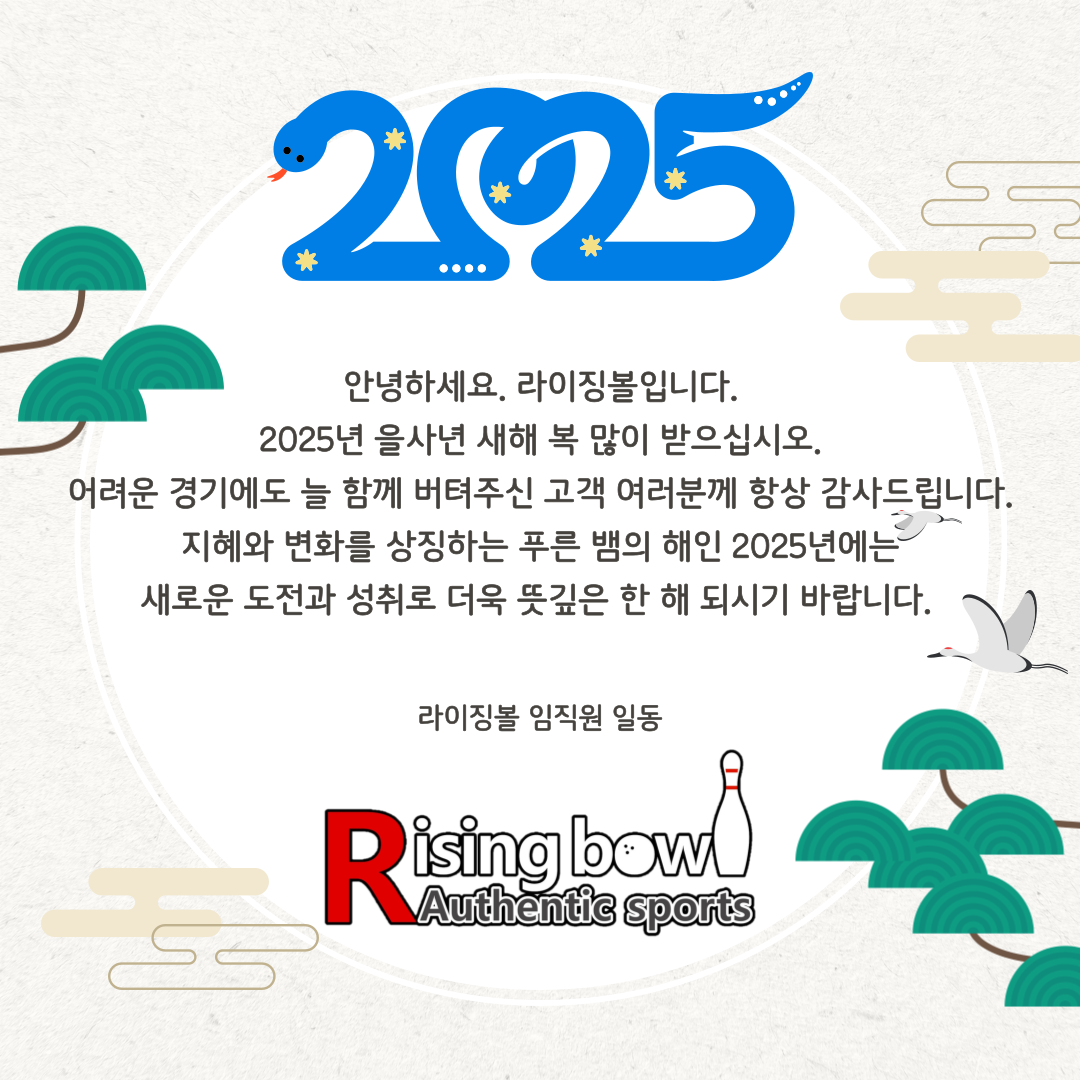 라이징볼 이미지