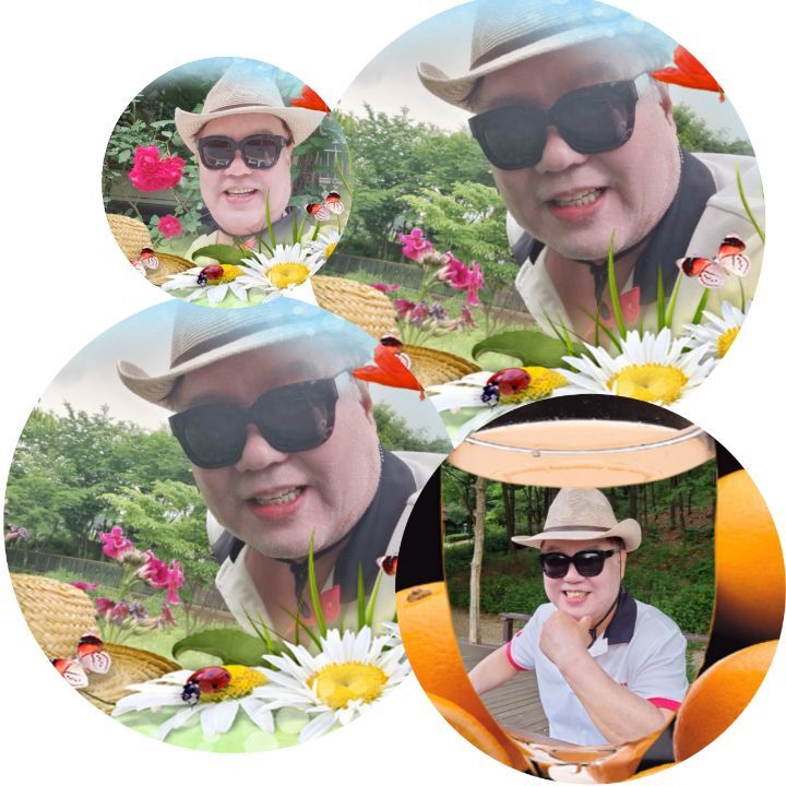 영상화원 이미지