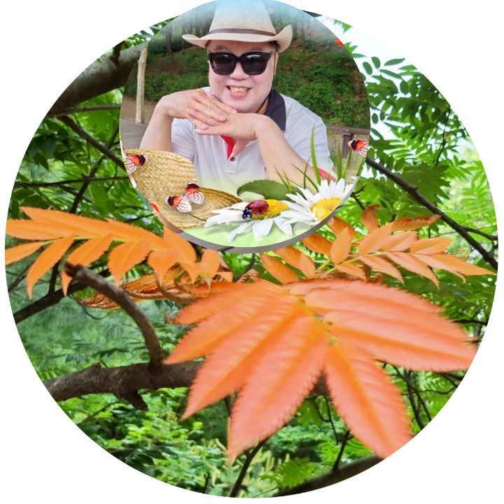 영상화원 이미지