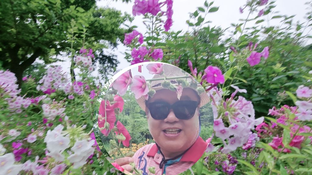 영상화원 이미지