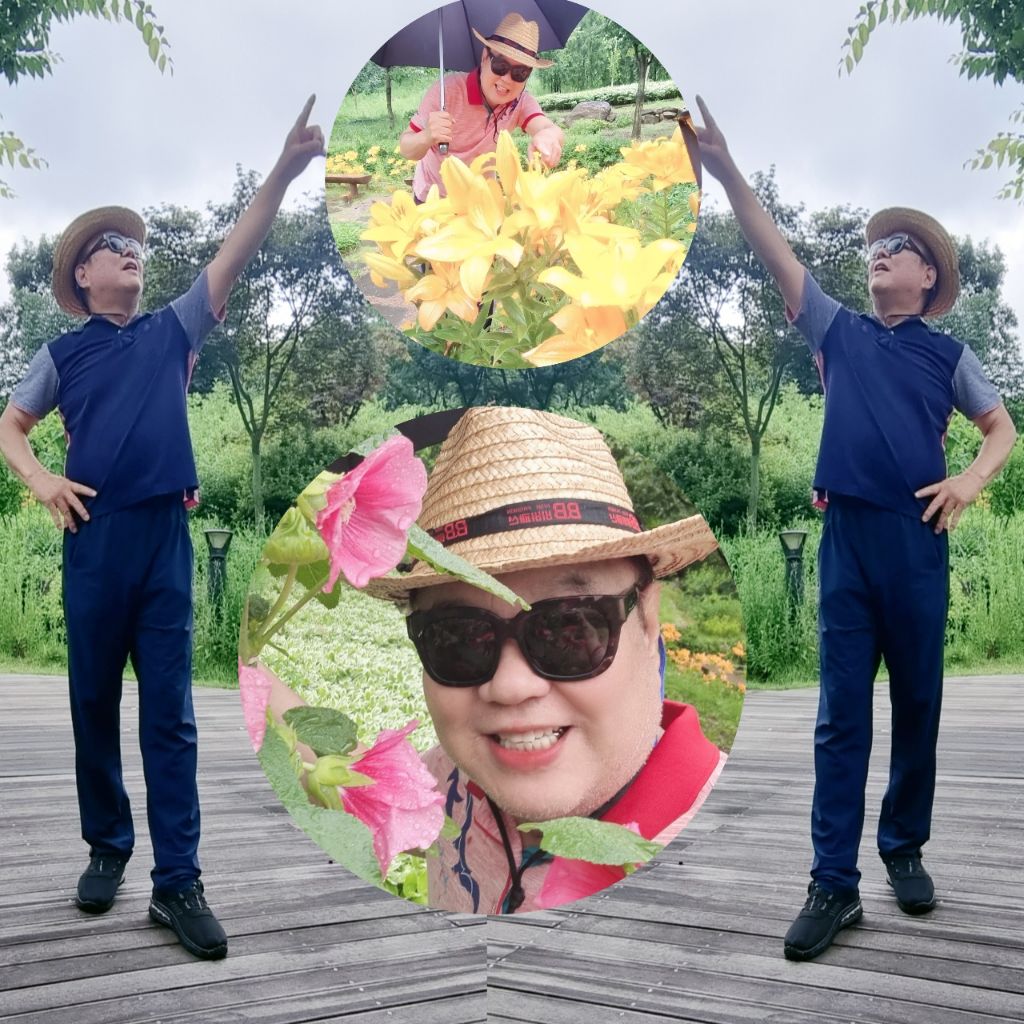 영상화원 이미지