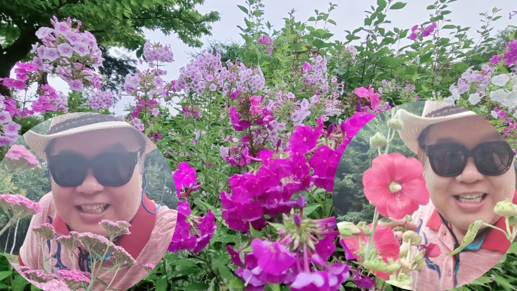 영상화원 이미지