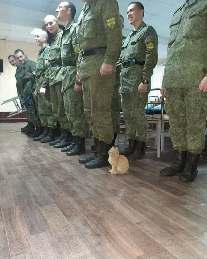 충성 이미지