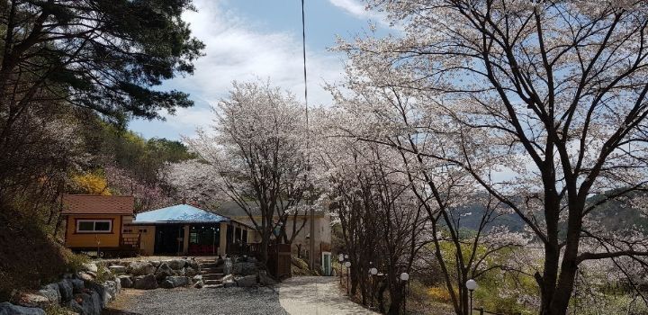 금산식당 이미지