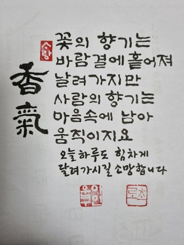소롯 이미지
