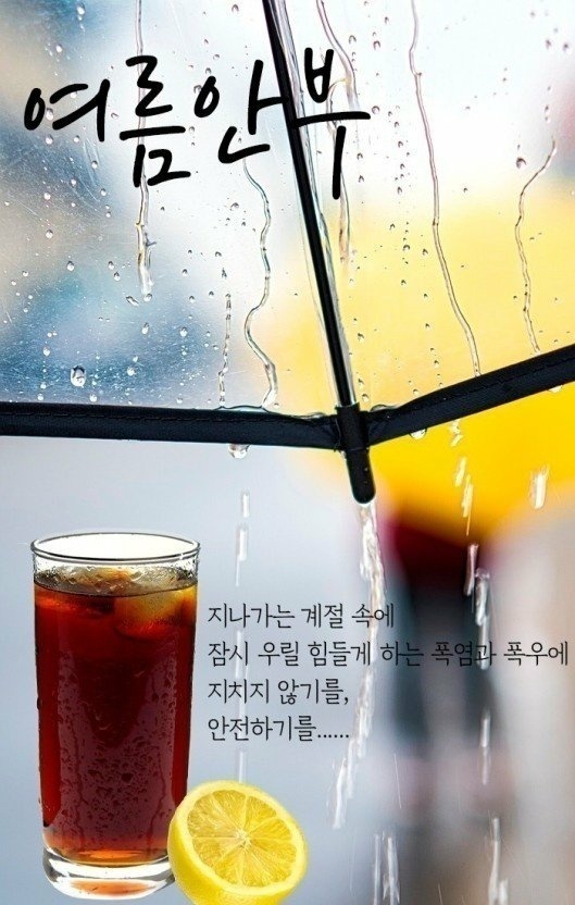 소롯 이미지