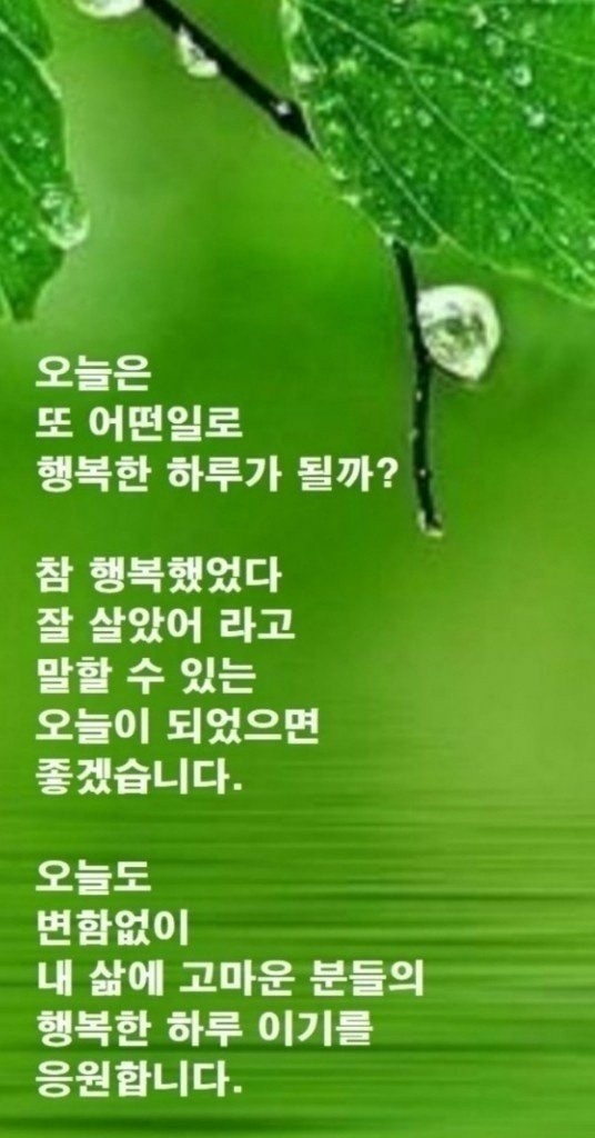 소롯 이미지
