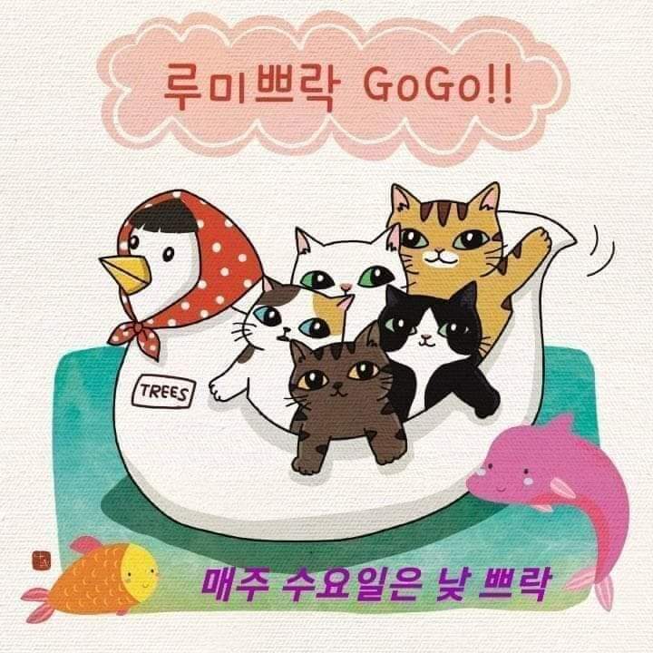 매주 수요일_ 낮 쁘락띠까 3시~6시 - 루쁘루쁘 소식 - 밀롱가 루미노소 매주 수요일_ 낮 쁘락띠까 3시~6시